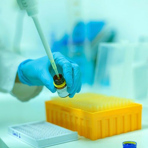 Laboratory Services